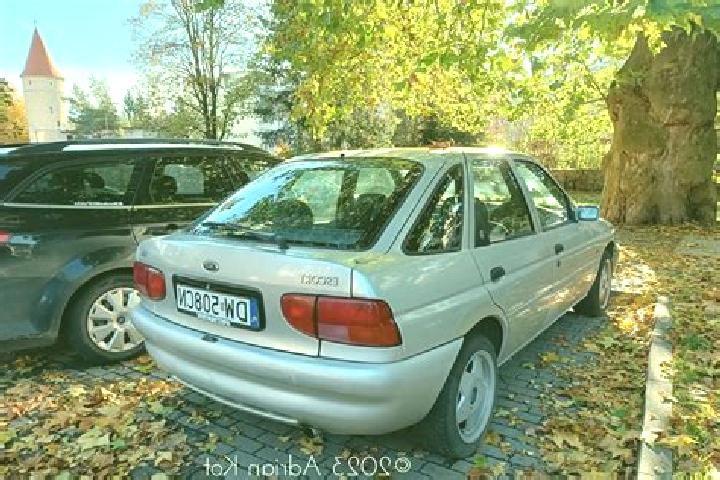 escort Pogorzel
