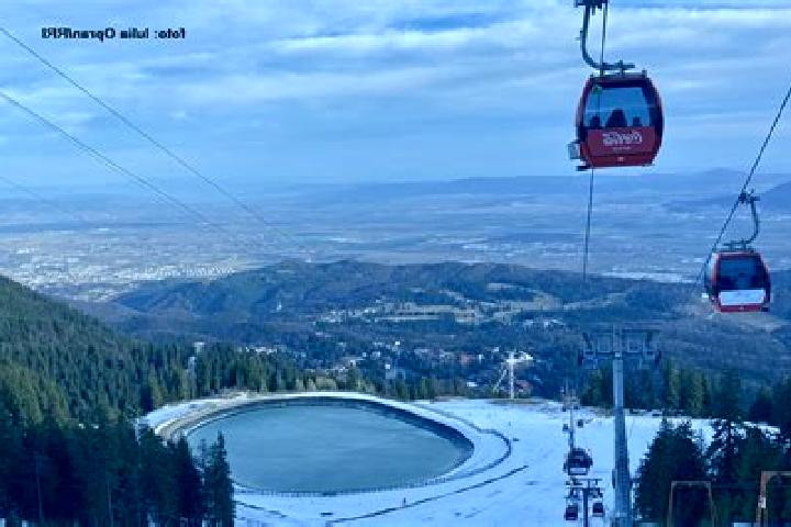 escort Poiana Seciuri