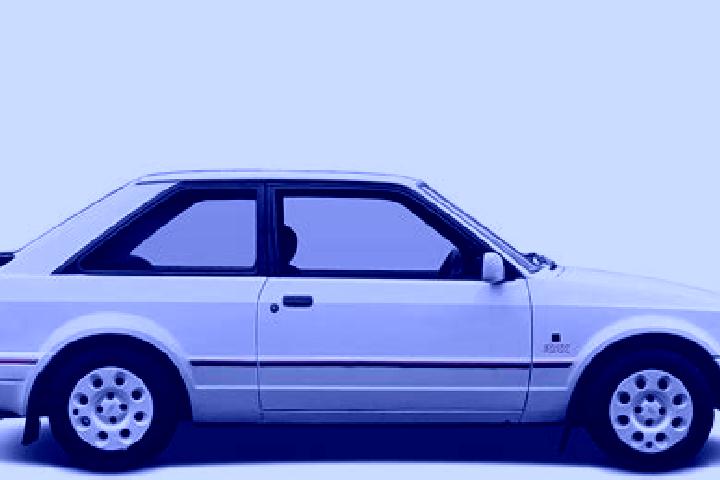 escort Pollina