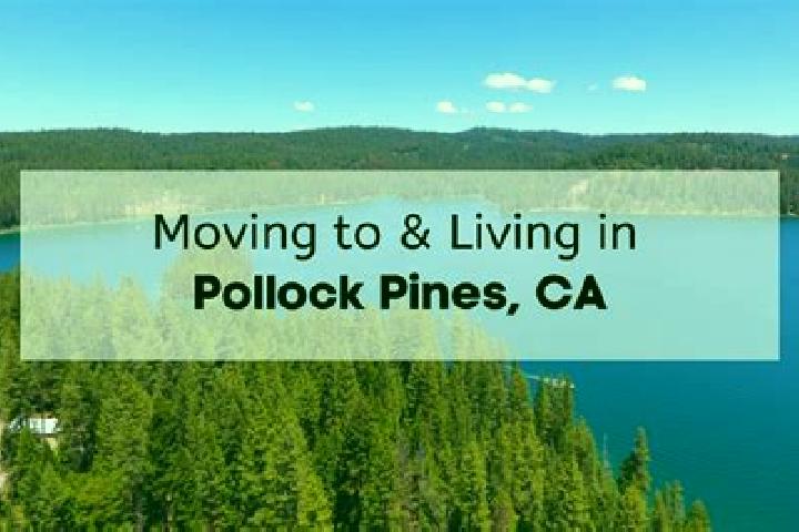 escort Pollock Pines