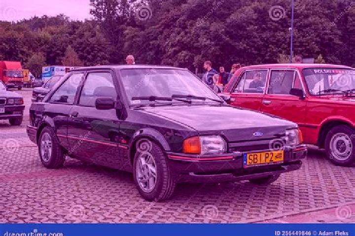 escort Polski Trambesh