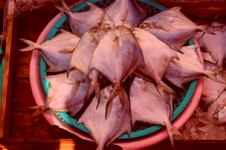 escort Pomfret