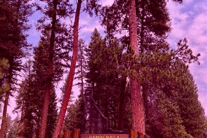 escort Ponderosa Park