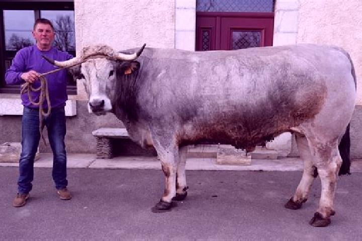 escort Ponlat-Taillebourg