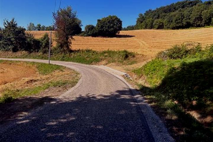 escort Pont-du-Casse