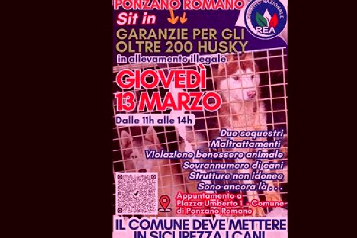 escort Ponzano Romano
