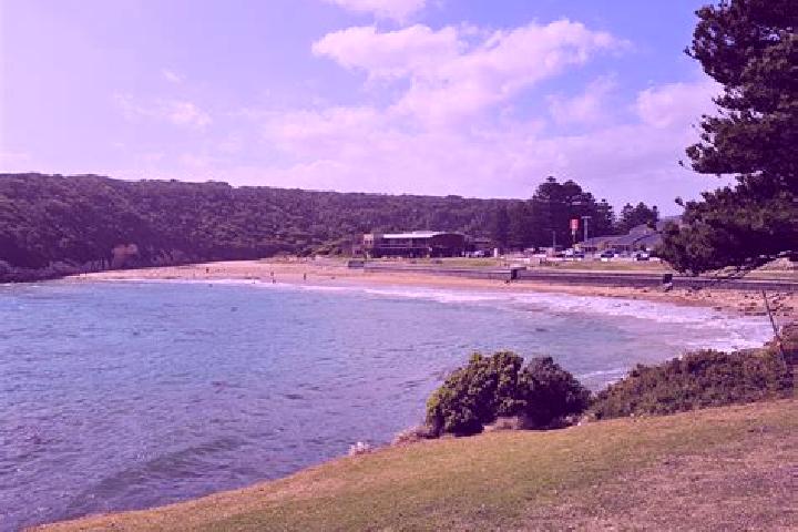 escort Port Campbell