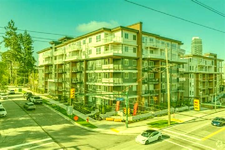 escort Port Coquitlam