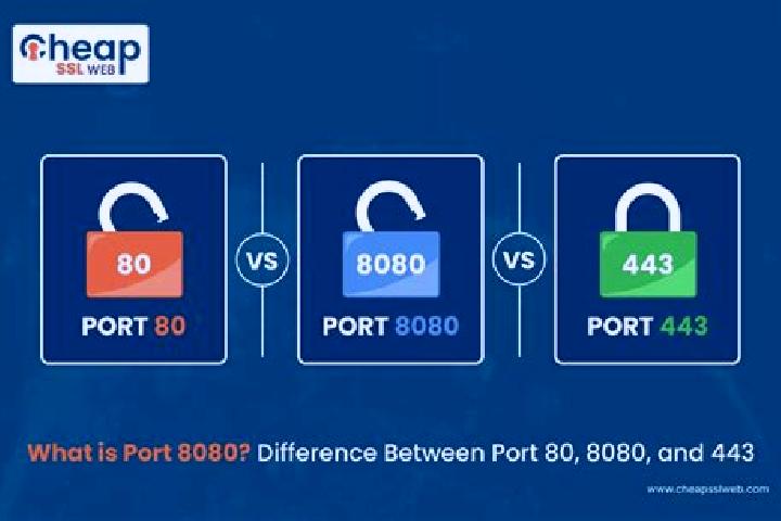 escort Port Hacking