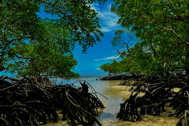 escort Porto do Mangue