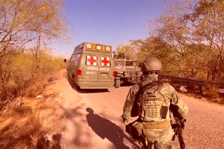 escort Potrerillo del Norote