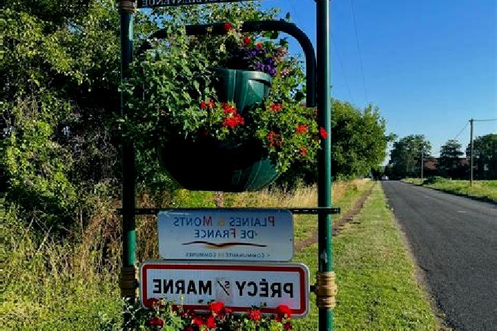 escort Precy-sur-Marne