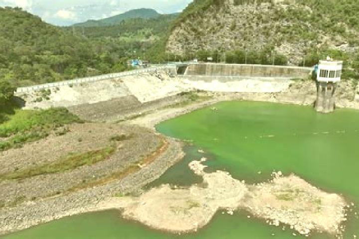 escort Presa de Bravo
