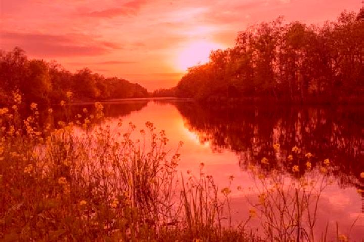 escort Pretty Bayou