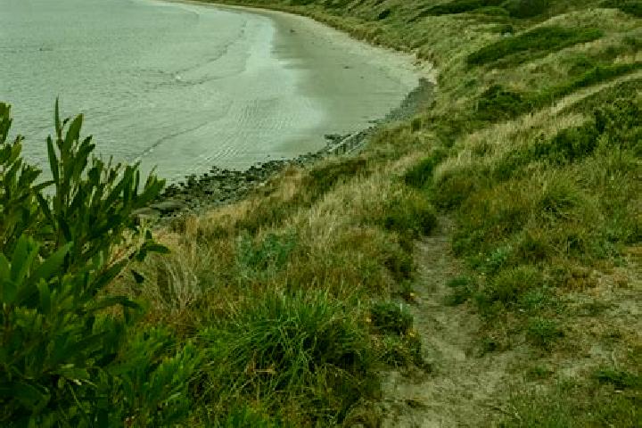 escort Primrose Sands