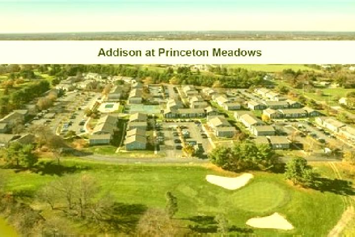 escort Princeton Meadows