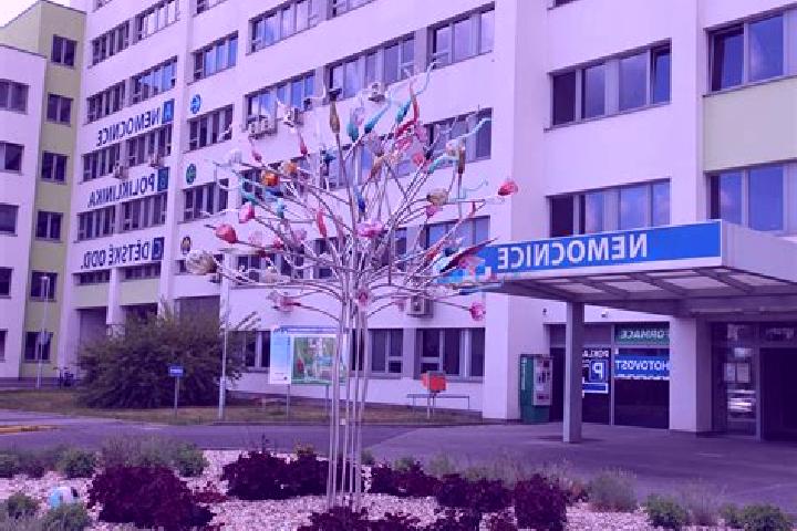 escort Prostejov
