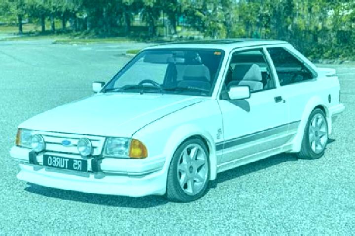 escort Provodin