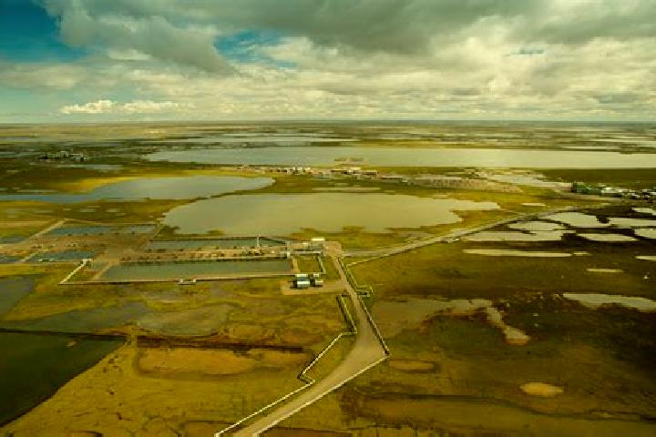 escort Prudhoe Bay