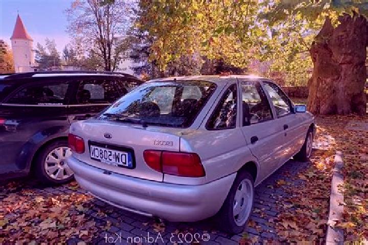 escort Przeciszow