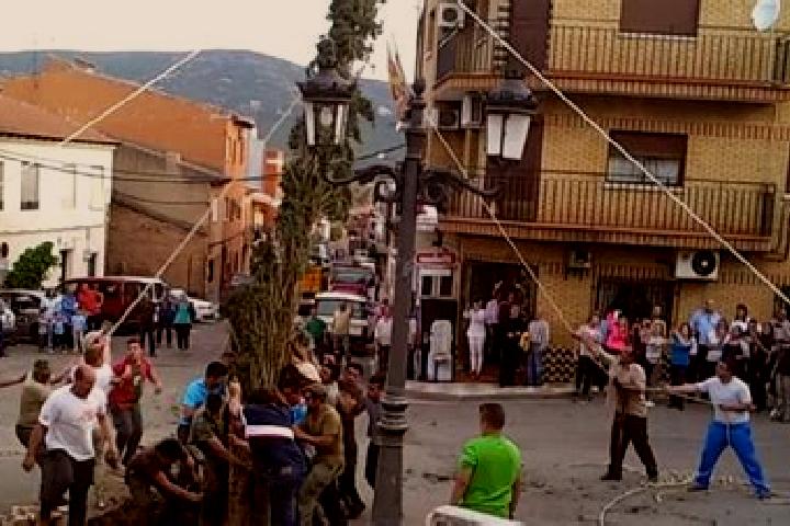 escort Puebla de Don Rodrigo