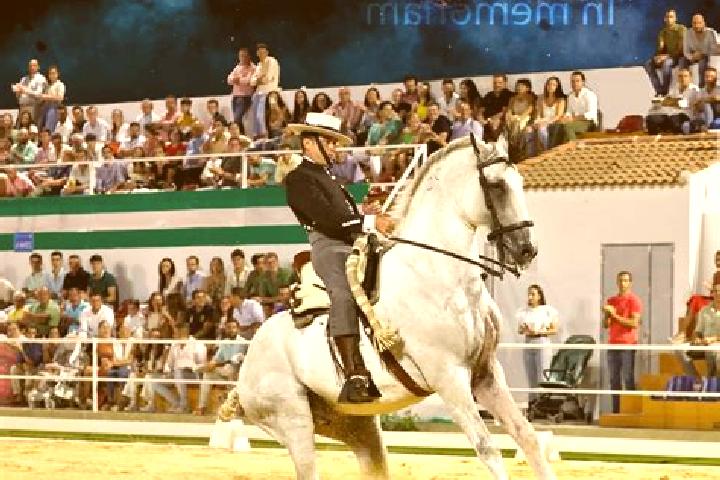 escort Puebla de Guzman