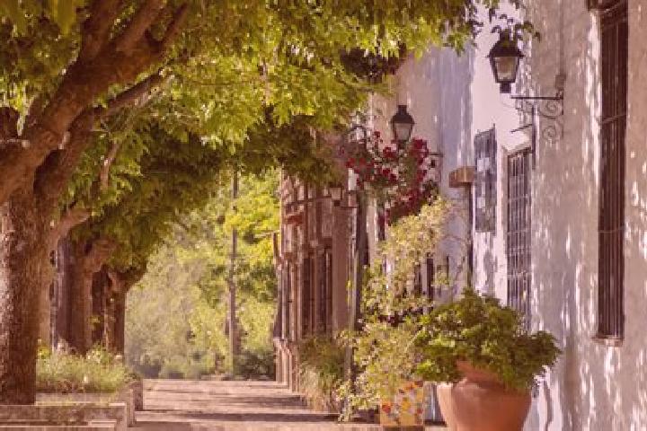 escort Pueblo Nuevo Colonia