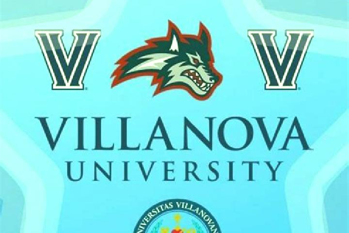 escort Puia-Villanova