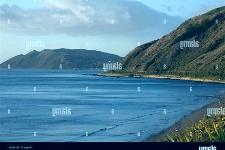 escort Pukerua Bay