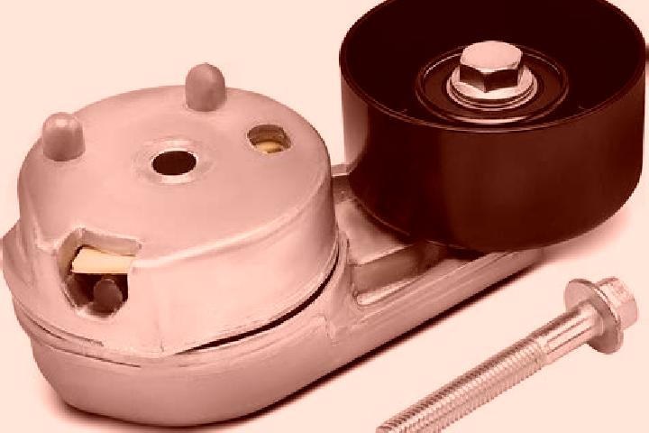 escort Pully