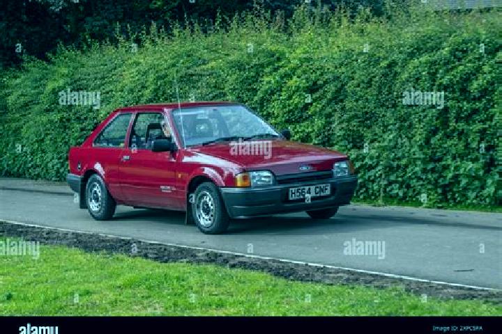 escort Pulsnitz