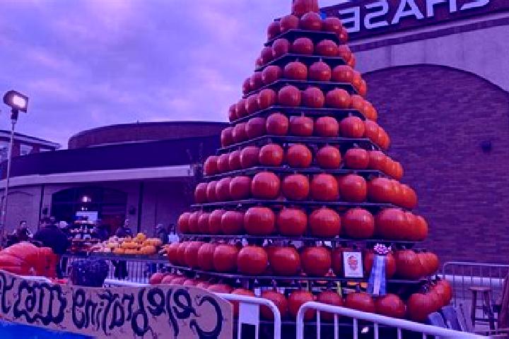 escort Pumpkin Center