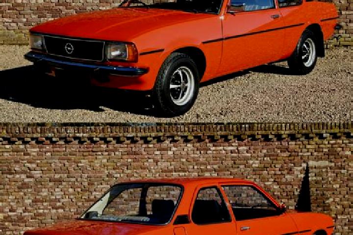 escort Punch