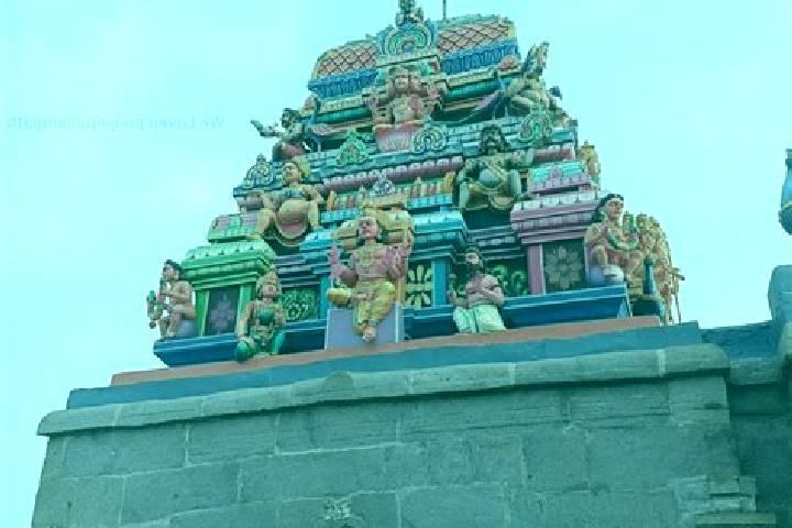escort Punjai Puliyampatti
