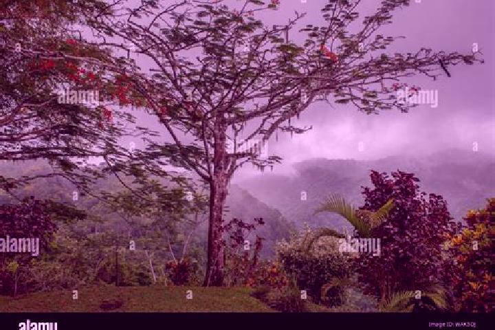 escort Puntarenas