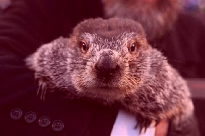 escort Punxsutawney