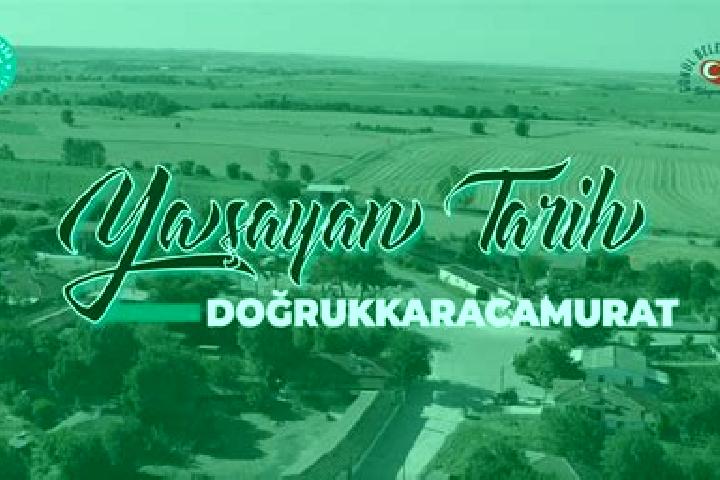 escort Pursaklar