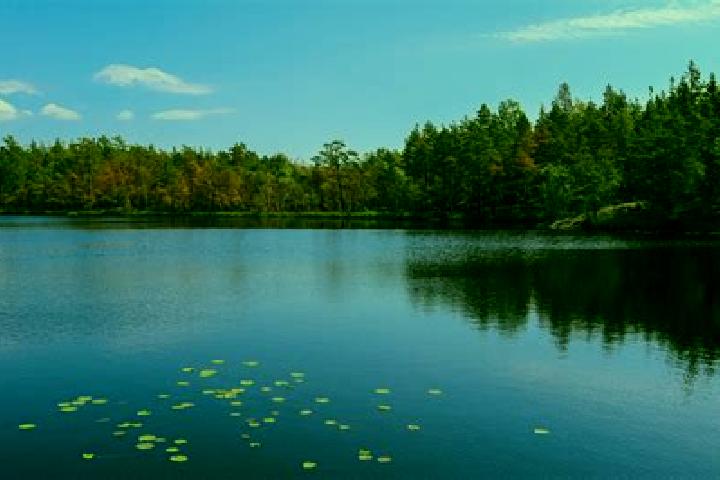 escort Putnam Lake