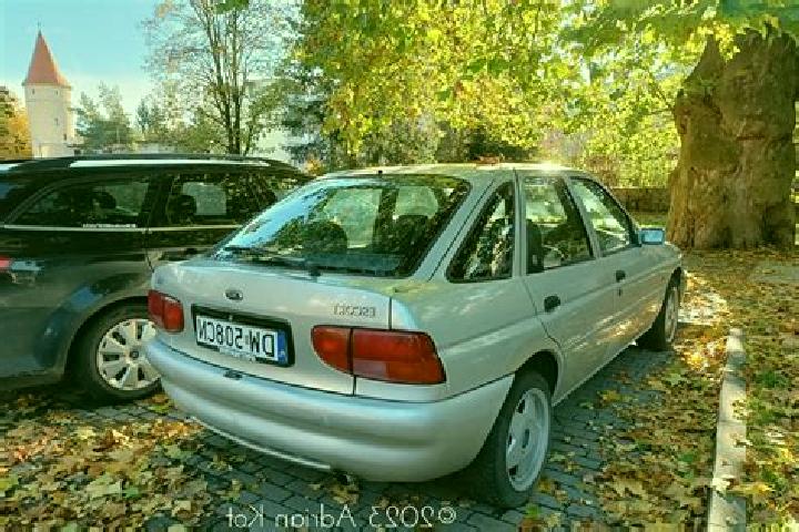 escort Pyrohy