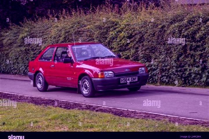 escort Qingyundian
