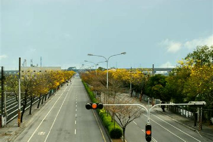 escort Qizhou