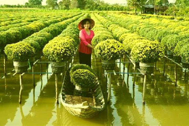 escort Quan Muoi