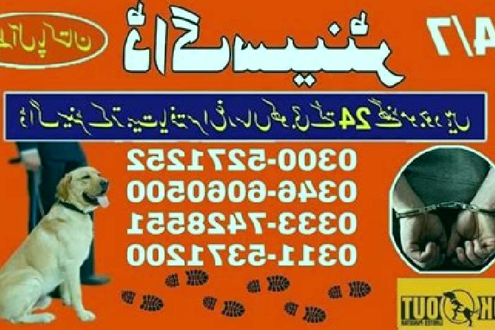 escort Qubo Saeed Khan