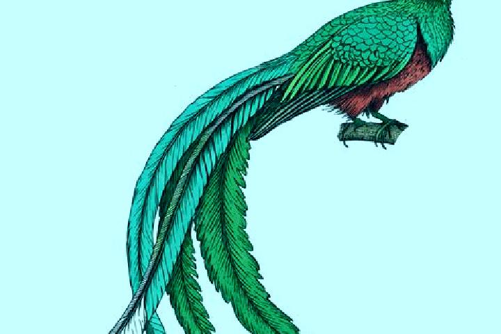 escort Quetzal Edzna