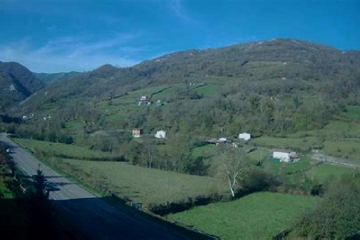 escort Quintela de Leirado