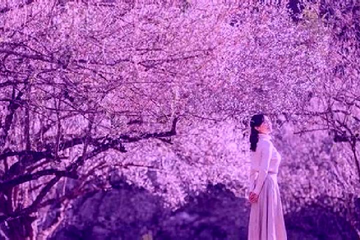 escort Quy Chau