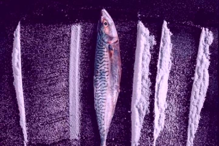 escort Rabo de Peixe
