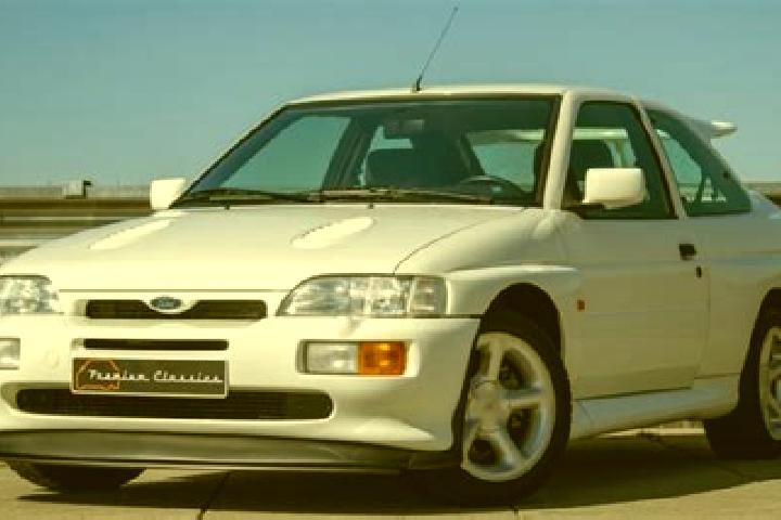 escort Raddestorf