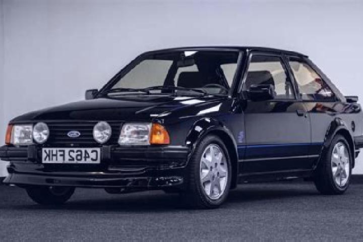 escort Radfeld