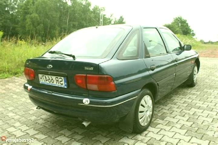 escort Radlin